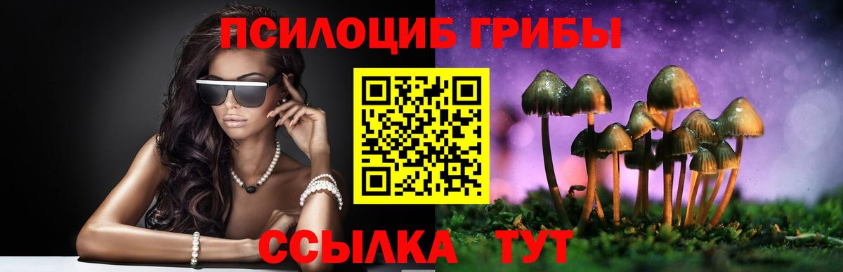 Псилоцибиновые грибы Psilocybine cubensis  Галлюциногенные грибы Cubensis  Вход с VPN  Тула 